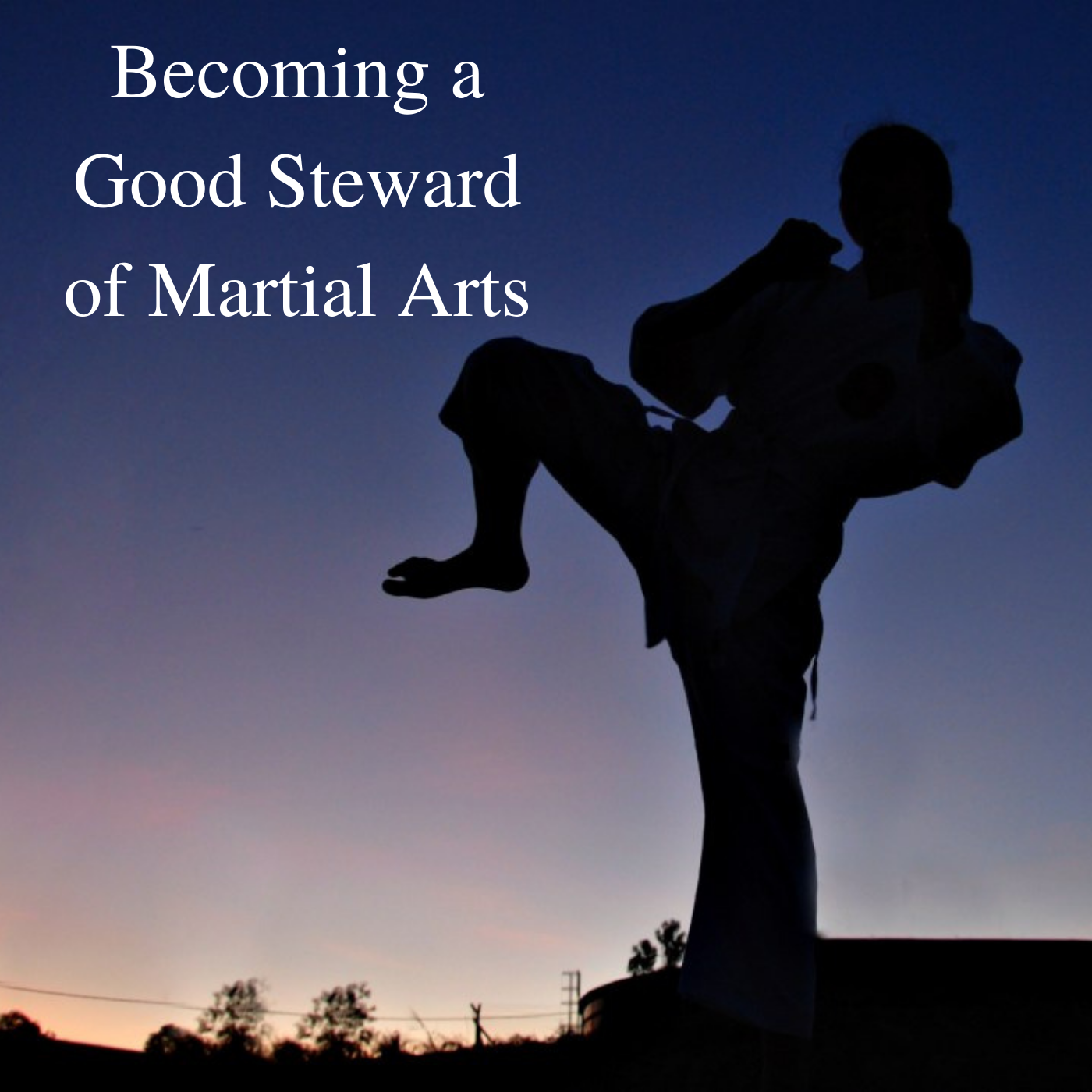 * Becoming a Good Steward of Martial Arts