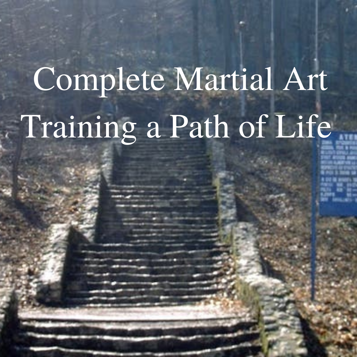 * Complete Martial Art Training 