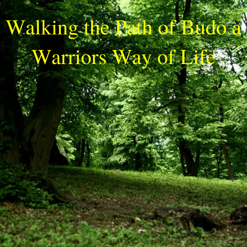 * Walking the Path of Budo a Warriors Way of Life
