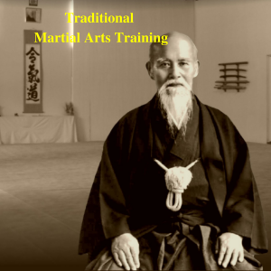 * Traditional Martial Arts Training