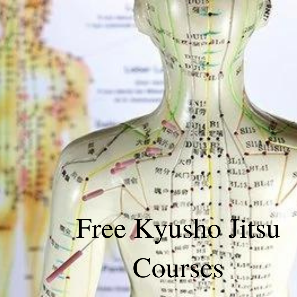 * Free Kyusho Mini Course