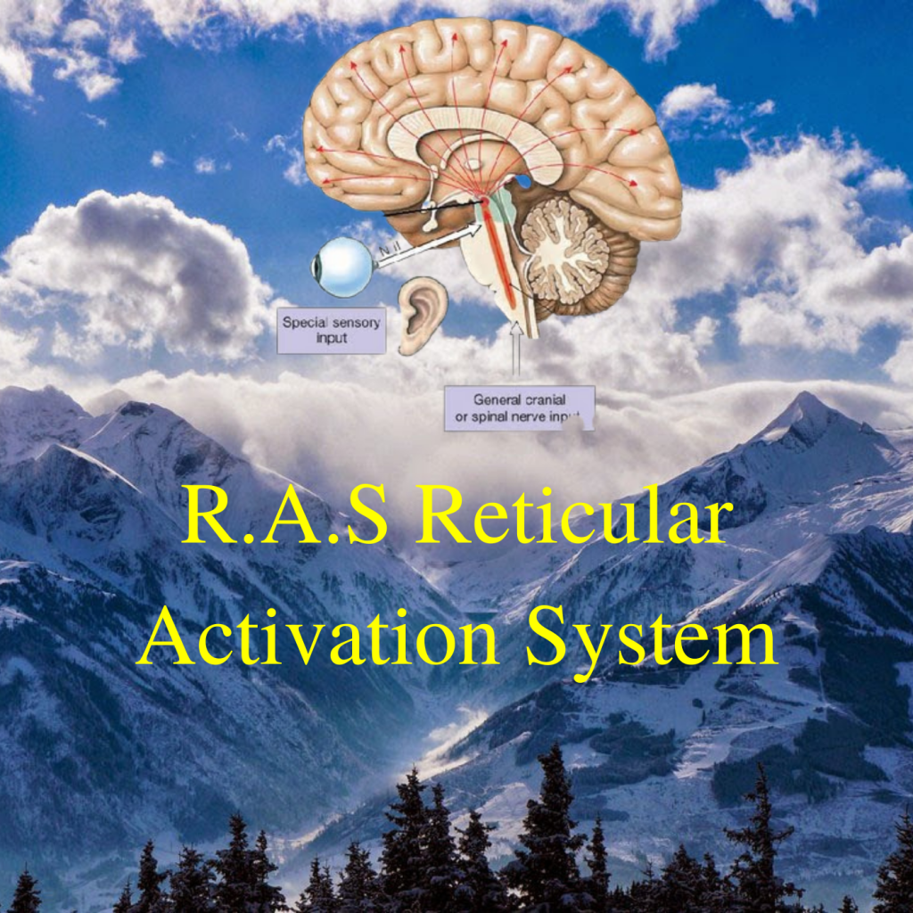 * R.A.S Reticular Activation System