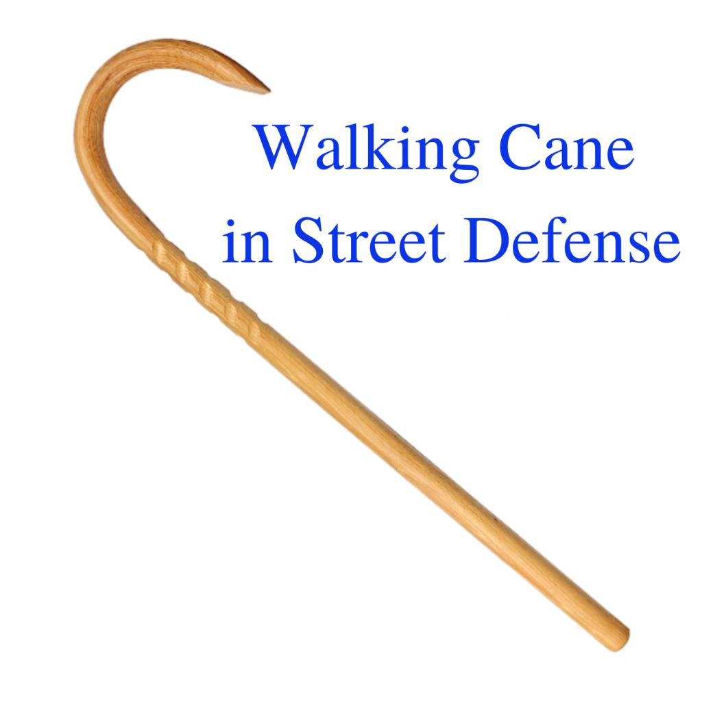 * Walking Cane in Street Defense