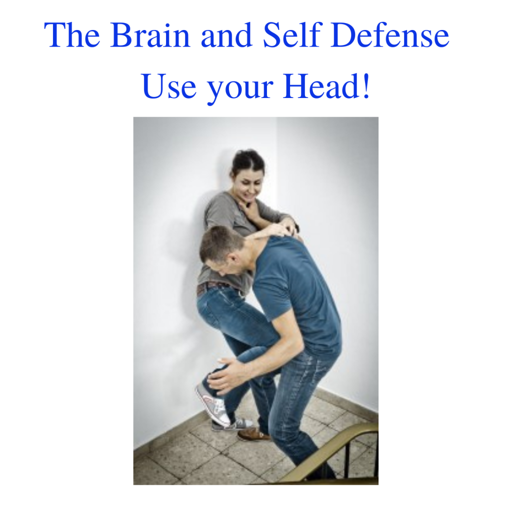 * Brain and Self Defense - Use your Head!