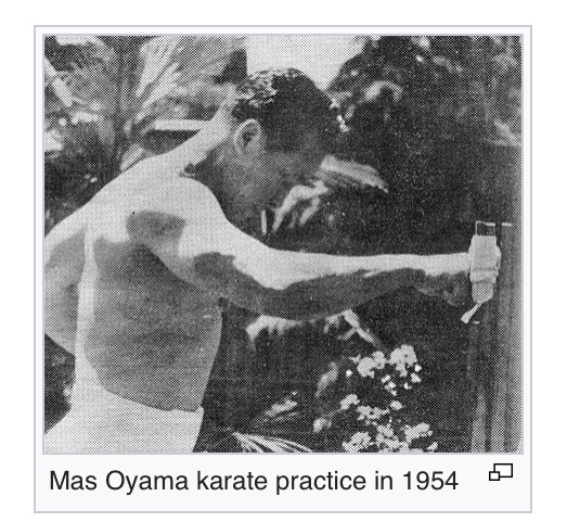 * History of Kyokushin-Ryu