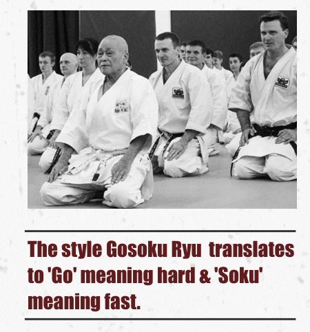 * History of Goshoky Ryu
