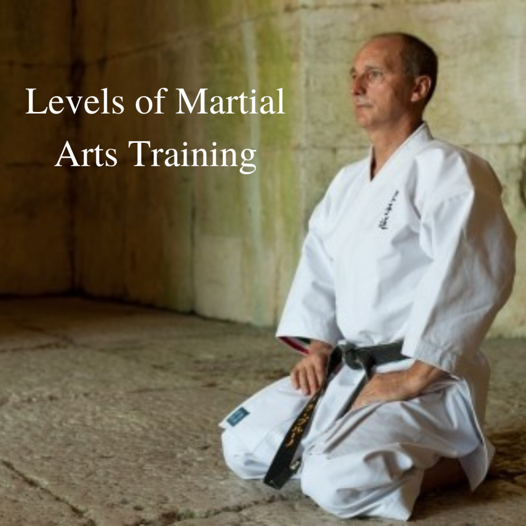 * Levels of Martial Arts Training