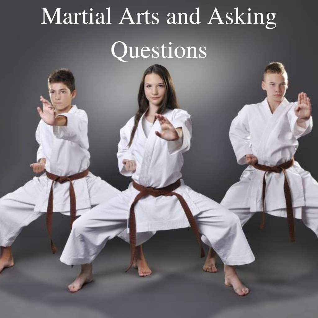 * Martial Arts and Asking Questions