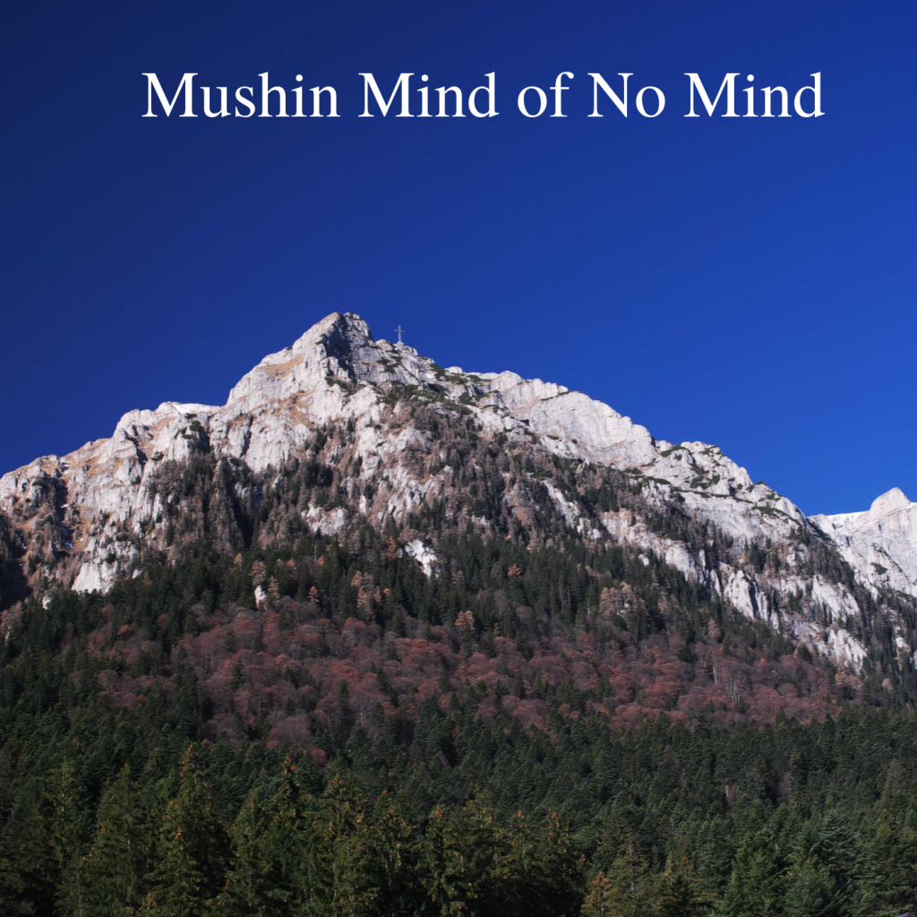 * Mushin Mind of No Mind