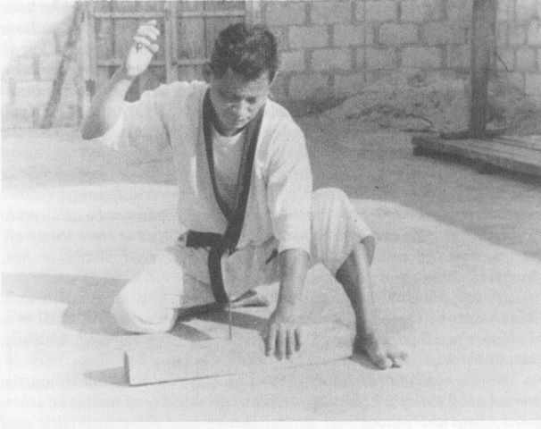 * History of Isshin-Ryu Karate