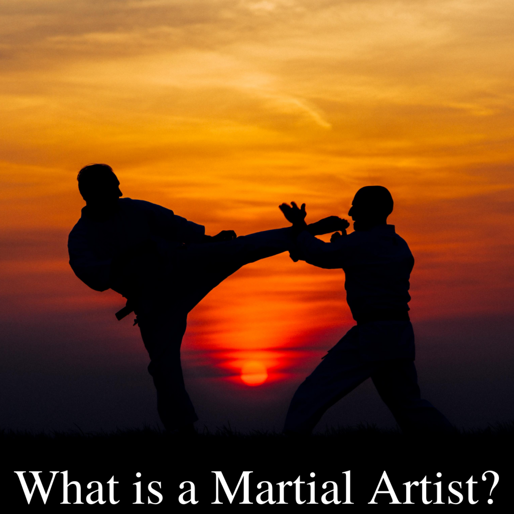 * What is a Martial Artist