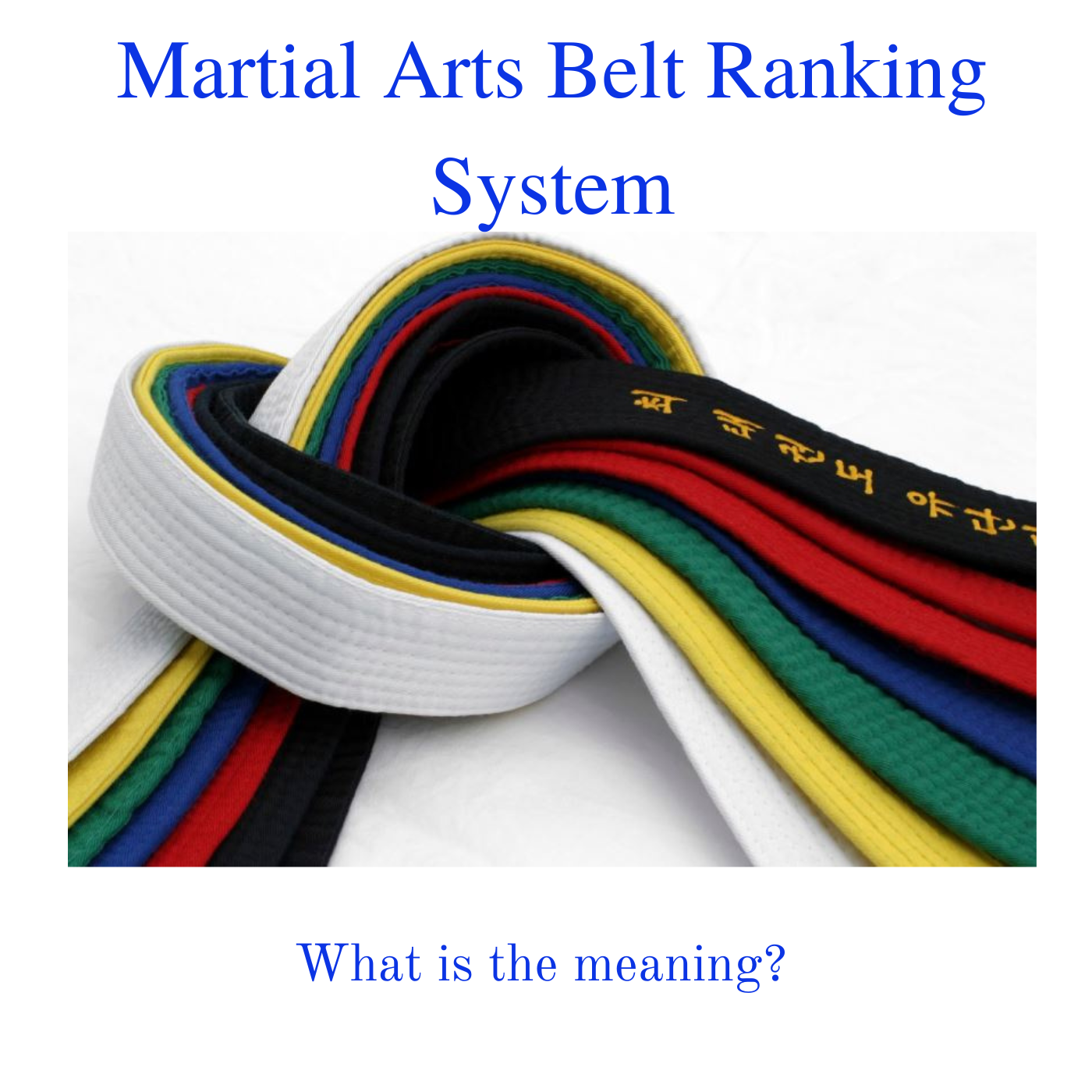 Martial Arts Belt Ranking System. What is the meaning?