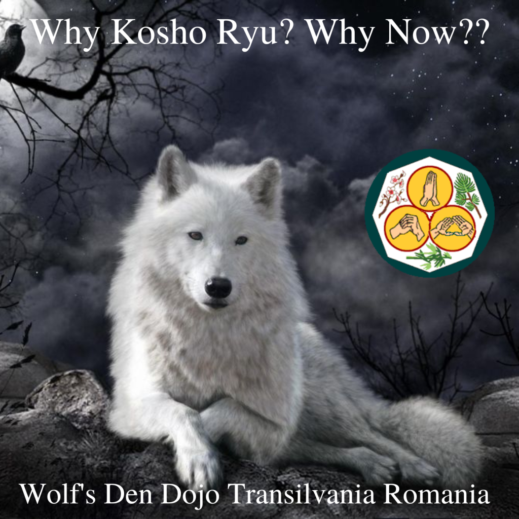 * Why Kosho Ryu? Why Now??