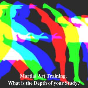 Martial Art Training what is the Depth of your Study?