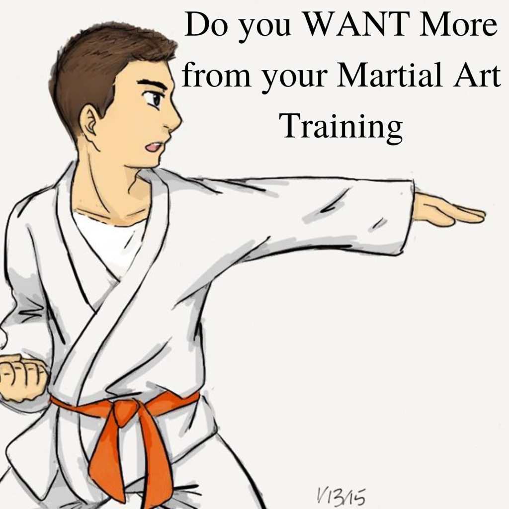 * Do you WANT More from your Martial Art Training
