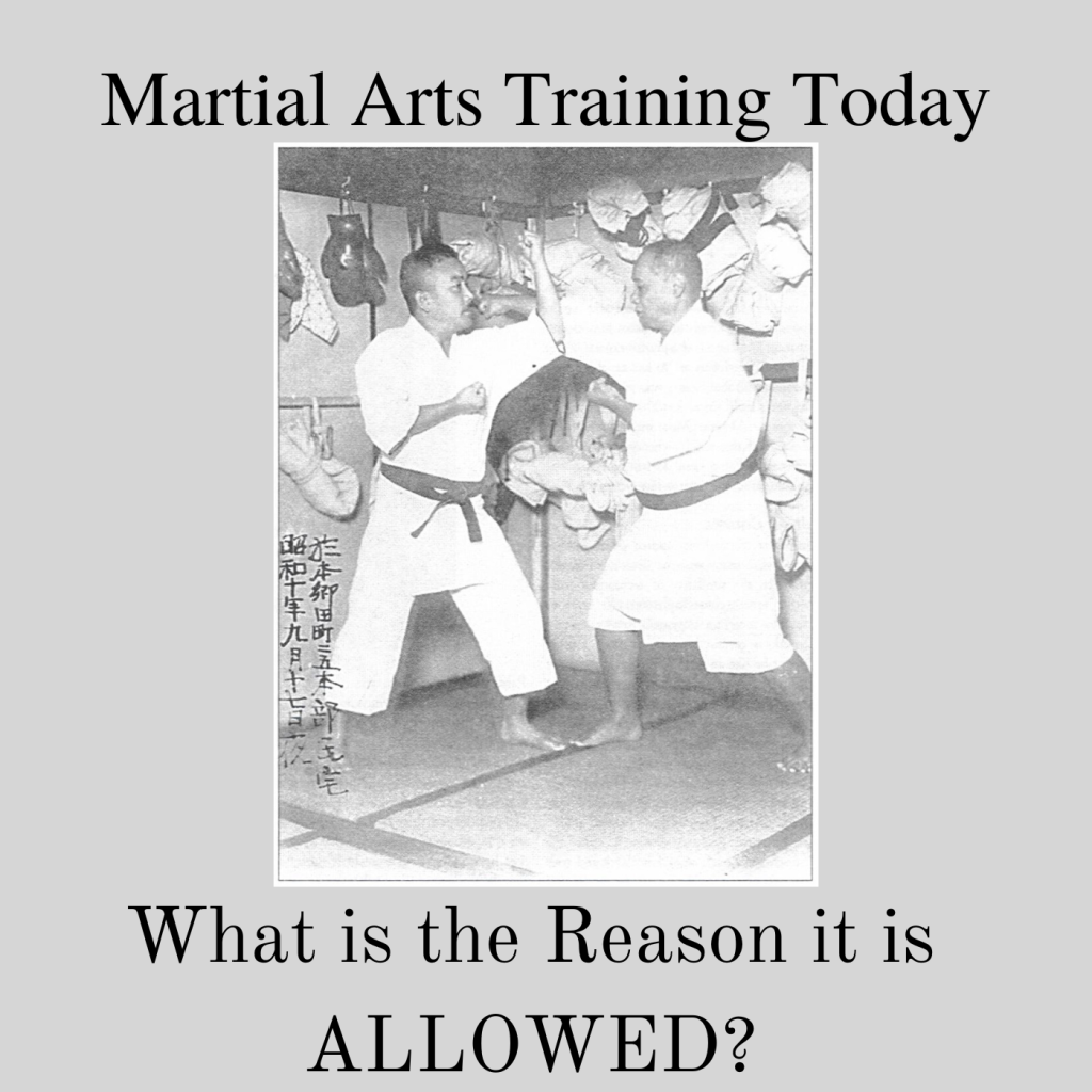 * Martial Arts Training Today