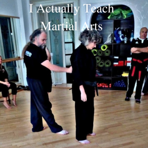 * I Actually Teach Martial Arts