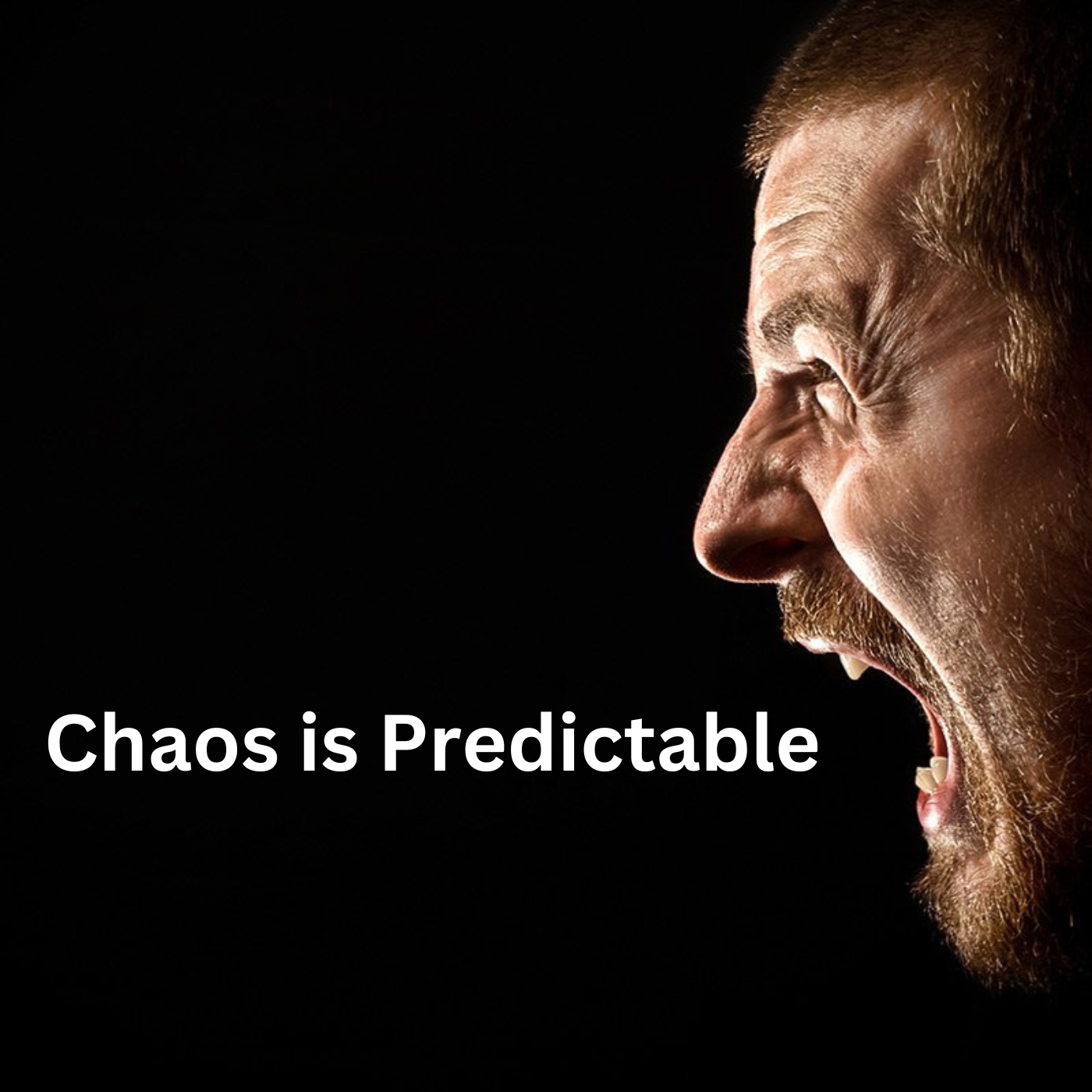 * Chaos is Predictable