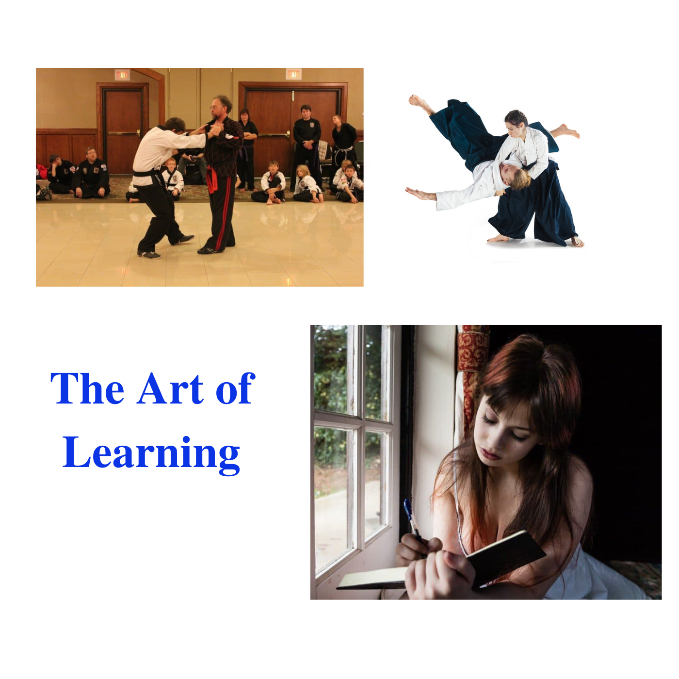 * The Art of Learning