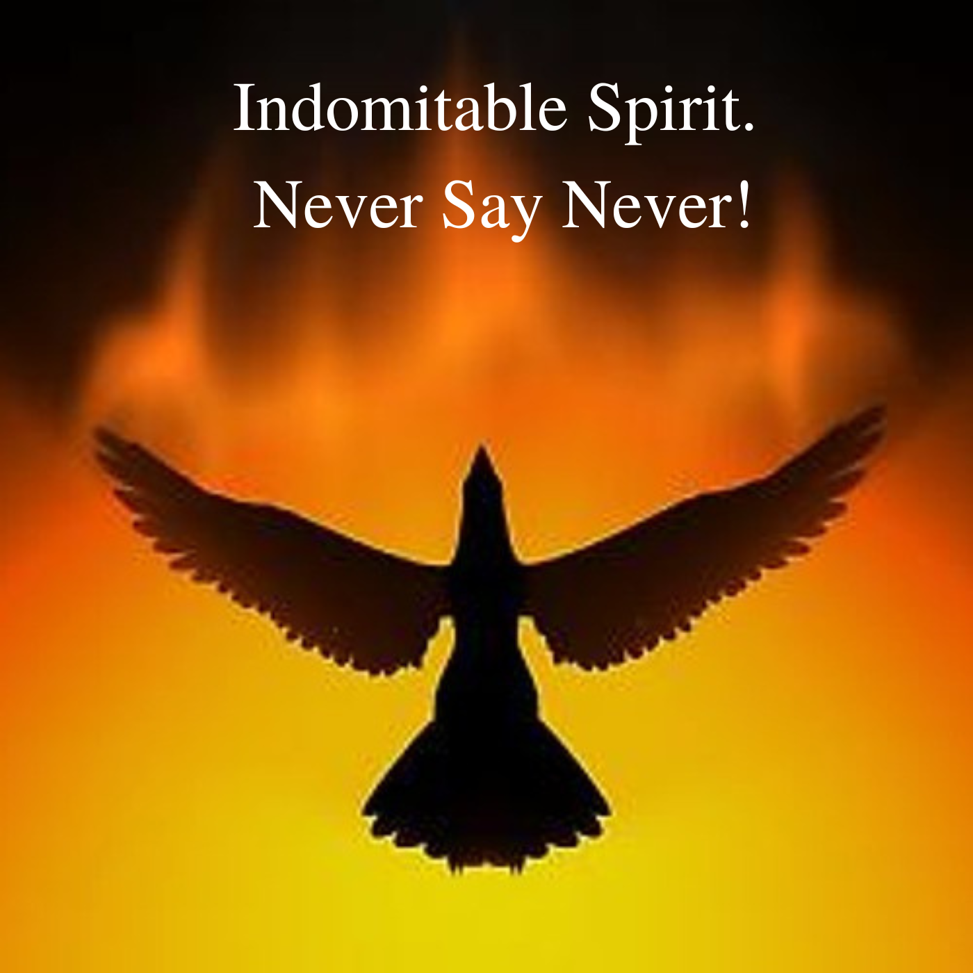 Indomitable Spirit. Never Say Never!
