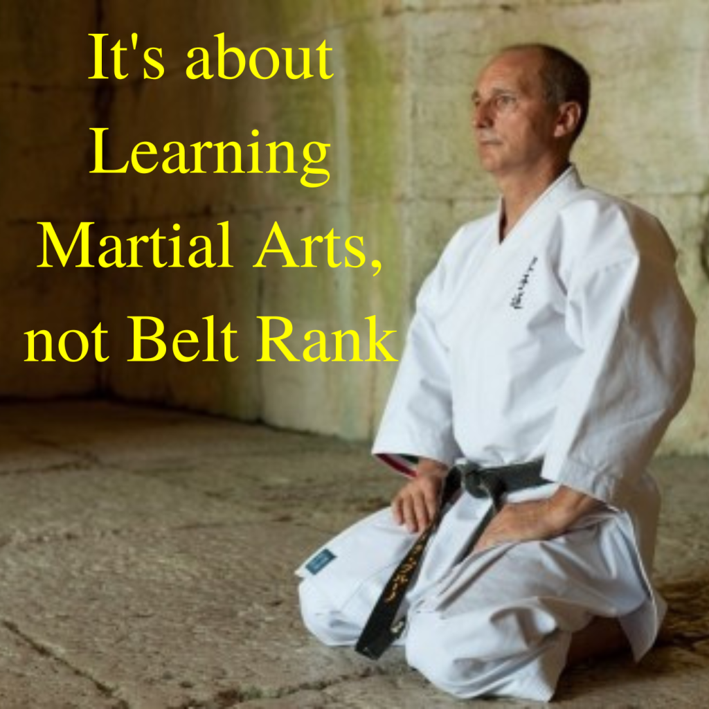 Learning Martial Arts