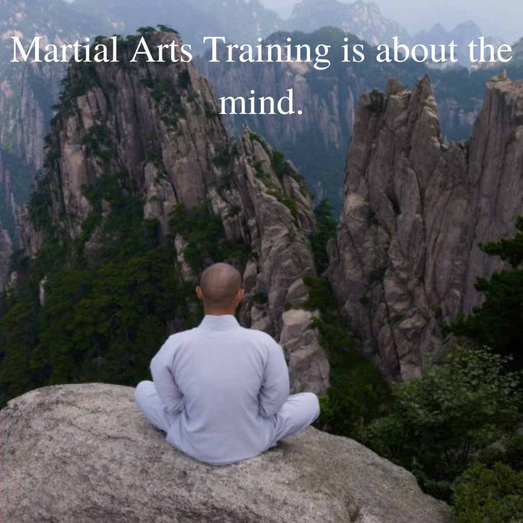 Martial Arts Training is about the mind.