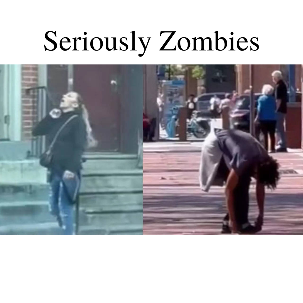 Seriously Zombies