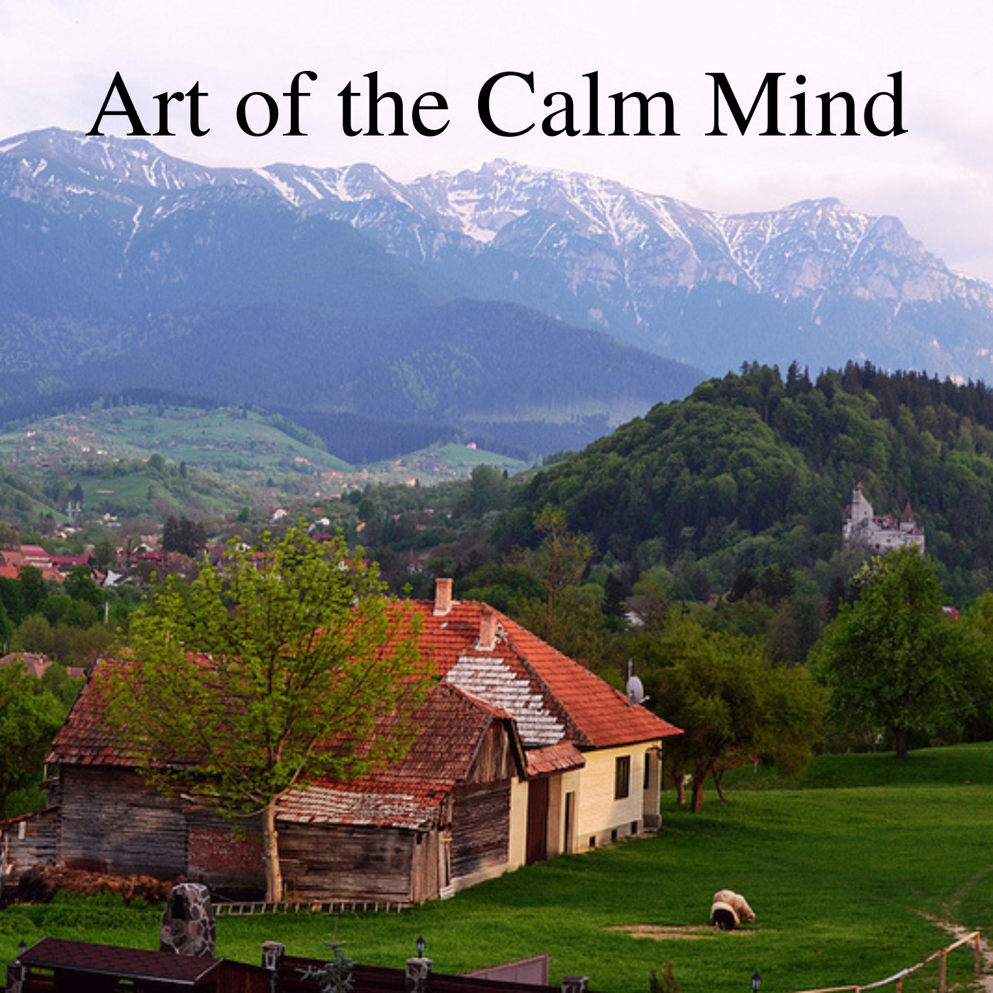 Art of the Calm Mind