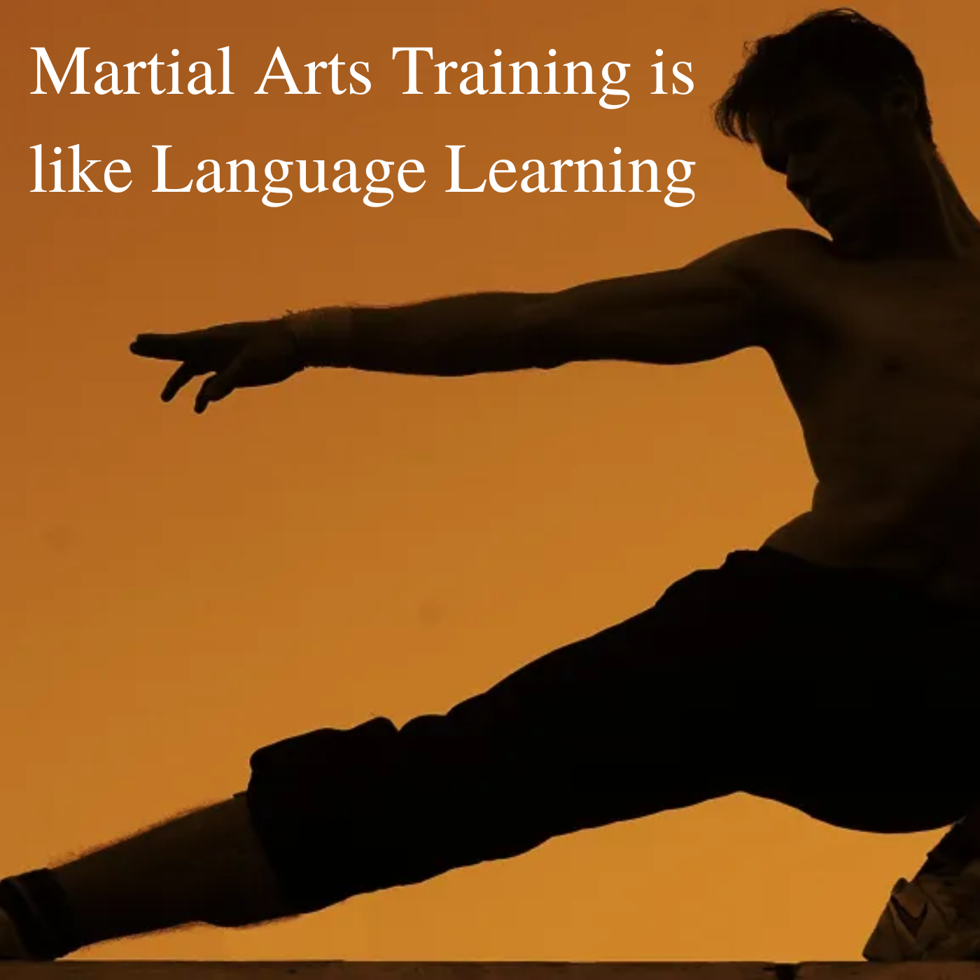 Martial Arts Training is like Language Learning